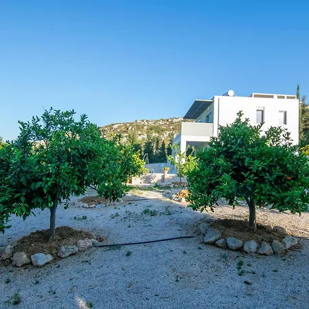 κatakis *