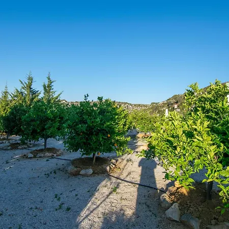 κatakis